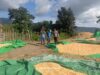BHABINKAMTIBMAS DESA HU’U PANTAU HASIL PANEN JAGUNG WARGA, DORONG PENYALURAN KE BULOG UNTUK DUKUNG KETAHANAN PANGAN NASIONAL
