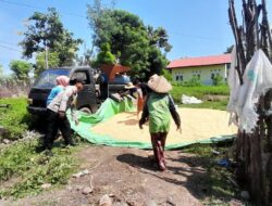 DUKUNG PROGRAM KETAHANAN PANGAN NASIONAL, BHABINKAMTIBMAS DESA DAHA MONITOR HASIL PANEN JAGUNG