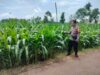 Polri Dukung Astacita, Polsek Palang Polres Tuban Turun Cek Tanaman jagung milik Warga di Desa Glodog