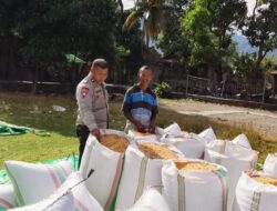 Bhabinkamtibmas Desa Sawe Pantau Pengemasan Hasil Panen Jagung, Edukasi Petani Penuhi Standar Distribusi ke Bulog
