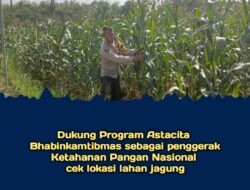Dukung Astacita, Polsek Jatirogo Polres Tuban Pantau Langsung Lahan Jagung Warga Desa Bader