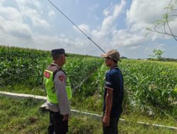 Polri Dukung Astacita, Polsek Rengel Polres Tuban Turun Cek Tanaman Padi Warga di Desa Pekuwon