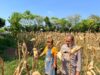 Bripka Nasri Monitoring Hasil Panen Jagung Warga Desa Tenggerkulon Kec. Bancar Kab. Tuban
