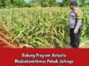 Dukung Astacita, Polsek Jatirogo Polres Tuban Pantau Langsung Lahan Jagung Warga Desa Demit