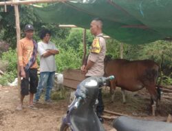 Bhabinkamtibmas Desa Rababaka Aktif Sambangi Peternak dan Edukasi Pemanfaatan Pekarangan untuk Dukung Ketahanan Pangan