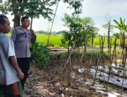 Polsek Labuapi Ajak Warga Manfaatkan Lahan Pekarangan
