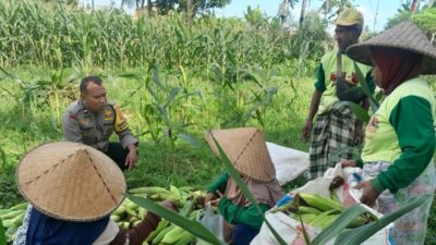 Petani Dusun Jogot Dimotivasi Bhabinkamtibmas Optimalkan Sawah