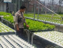 Polisi Dukung Pekarangan Bergizi di Desa Bengkel