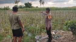 Cara Bhabinkamtibmas Lombok Barat Edukasi Petani Melejitkan Hasil Panen
