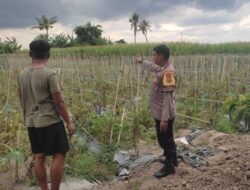 Bhabinkamtibmas Lombok Barat Dampingi Petani Dorong Ketahanan Pangan