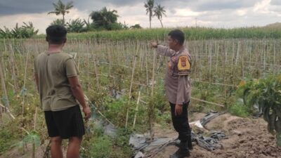 Bhabinkamtibmas Lombok Barat Dampingi Petani Dorong Ketahanan Pangan