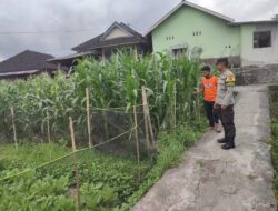 Bhabinkamtibmas Desa Paokmotong Monitoring Program Ketahanan Pangan, Dukung Swasembada Pangan Pemerintah