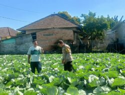  Bhabinkamtibmas Desa Masbagik Utara Sambangi Petani Guna Dukung Ketahanan Pangan
