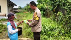 Gaya Hidup Baru Warga Labuapi Sulap Lahan Terbengkalai Menjadi Pekarangan Bergizi Penopang Dapur Rumah