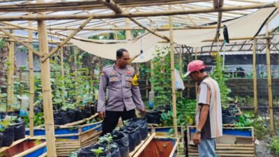 Sinergi Polsek Labuapi dan Warga Bajur Perkuat Pangan Lokal
