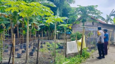 Cara Polsek Labuapi Lombok Barat Jaga Ketahanan Pangan Warga