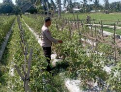 Bhabinkamtibmas Desa Kesik Cek Lahan Ketahanan Pangan Bergizi, Dukung Program Ketahanan Pangan Nasional