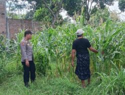 Bhabinkamtibmas Karang Bongkot Kawal Ketahanan Pangan Nasional