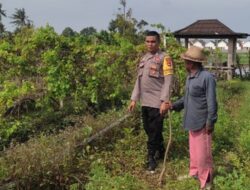 Dukung Ketahanan Pangan, Bhabinkamtibmas Desa Kuranji Dalang Dampingi Petani
