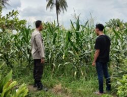 Polsek Labuapi Dampingi Petani Lokal Perkuat Ketahanan Pangan Desa
