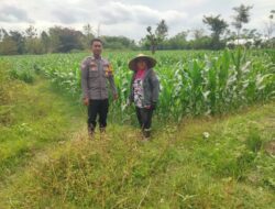 Perkuat Ketahanan Pangan Nasional, Bhabinkamtibmas Desa Mokong Sambangi Petani di Dusun Pelita