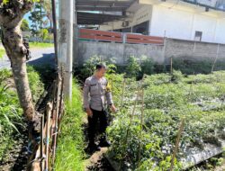 Bhabinkamtibmas Desa Kumbang Perkuat Ketahanan Pangan Lewat Sambang Warga dan Monitoring Lahan Pertanian