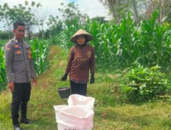 Dukung Program Asta Cita Presiden RI, Bhabinkamtibmas Desa Mokong Sambangi Petani di Persawahan