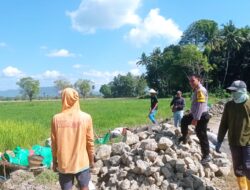 Bhabinkamtibmas Desa Dorebara Dampingi Pembuatan Saluran Irigasi, Dorong Produktivitas Pertanian dan Pemanfaatan Pekarangan