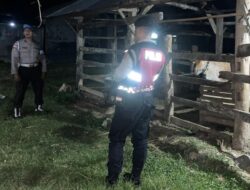 Cegah Pencurian Hewan, Polsek Sekotong Intensifkan Patroli Dini Hari di Dusun Bertong
