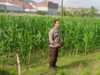 Cara Polsek Labuapi Dorong Swasembada Pangan Lokal