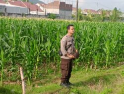 Cara Polsek Labuapi Dorong Swasembada Pangan Lokal