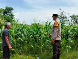 Transformasi Lahan Tidur Jadi Sumber Gizi, Cara Polsek Labuapi Perkuat Ketahanan Pangan Keluarga