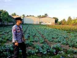 Bhabinkamtibmas Desa Masbagik Timur Monitoring Ketahanan Pangan dan Ajak Warga Jaga Kamtibmas