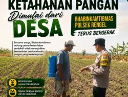 Polri Dukung Astacita, Polsek Rengel Polresta Tuban Turun Cek Tanaman Jagung Warga di Desa Sawahan