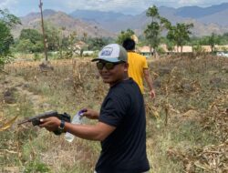 Polsek Bolo Amankan Satu Pucuk Senpira Jenis Pistol Tanpa Amunisi di Area Persawahan BTN Desa Tambe