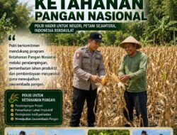 DALAM RANGKA MENDUKUNG PROGRAM KETAHANAN PANGAN, ANGGOTA POLSEK PARENGAN POLRESTA TUBAN SAMBANGI PETANI JAGUNG DI DESA SELOGABUS KEC. PARENGAN