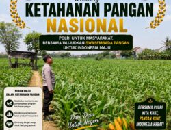 Polri Dukung Astacita, Polsek Semanding Polresta Tuban Turun Cek Tanaman jagung milik Warga di Desa Tegalagung