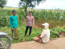 Polsek Tambakboyo Dialogis di Tepi Ladang Jagung, Jaga Kamtibmas dan Dukung Petani