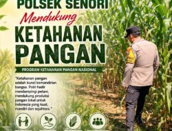 Mendukung Program Ketahanan Pangan Nasional Anggota Bhabinkamtibmas Polsek Senori Polresta Tuban Lakukan Pemantauan Tanaman Jagung Warga Desa Sendang