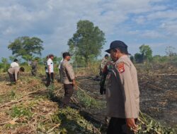 Personel Polsek Sambelia Bersama Instansi Terkait Berupaya Padamkan Kebakaran Hutan Produksi di Dara Kunci