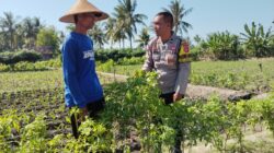 Bhabinkamtibmas Desa Pringgabaya Sambangi Petani Subak Rarung, Sampaikan Himbauan Kamtibmas dan Antisipasi Karhutla