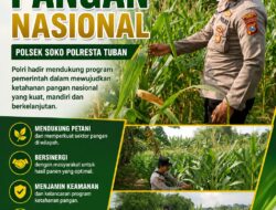 Polsek Soko Polresta Tuban Turun Langsung Cek Tanaman Jagung Warga