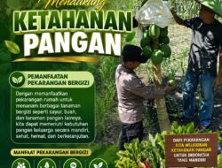 Polri Dukung Astacita, Polsek jenu Polres Tuban Turun Cek Tanaman Jagung Warga di Desa Beji