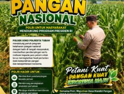 Polsek Soko Polresta Tuban Turun Langsung Cek Tanaman Jagung Warga