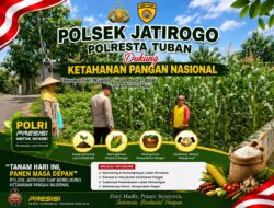 Kawal Swasembada Pangan, Polsek Jatirogo Pantau Langsung Tanaman Jagung di Kebonharjo