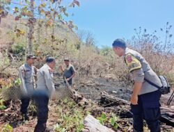 Sigap Tangani Karhutla di Labuhan Alas, Personel Polsek Alas Bersama Damkar dan Warga Padamkan Lahan Kosong