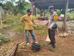 Apresiasi Warga Produktif, Bhabinkamtibmas Desa Labangka Cek Pekarangan Pangan Lestari Warga