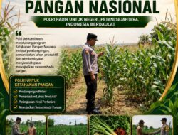 “DUKUNG KETAHANAN PANGAN, POLSEK KEREK PEMANTAUAN TANAMAN JAGUNG DI DESA BINAAN”