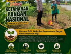 Dukung Astacita, Polsek Palang Polresta Tuban Pantau Langsung Lahan Jagung milik warga Desa Wangun