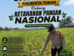 Polsek Jatirogo Turun ke Lahan produktif Desa Demit Wujudkan Dukungan Astacita Swasembada Pangan